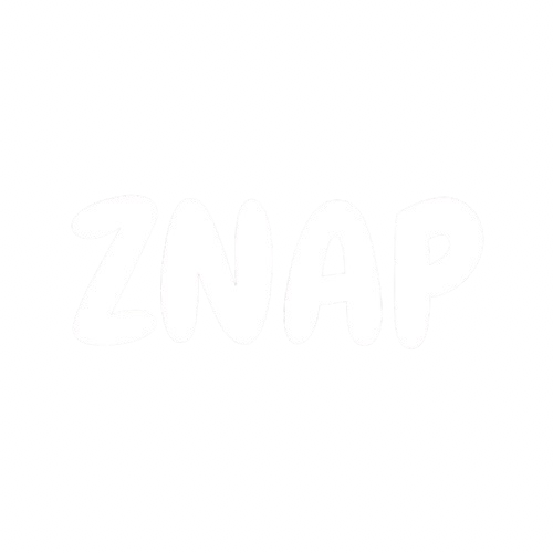 ZNAP logo